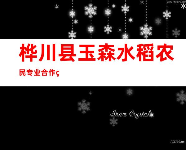 桦川县玉森水稻农民专业合作社