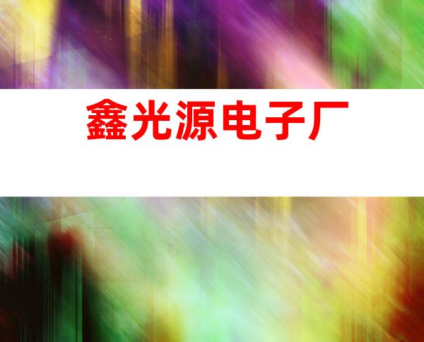鑫光源电子厂